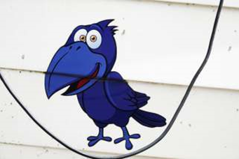 Vogelwerkgroep
