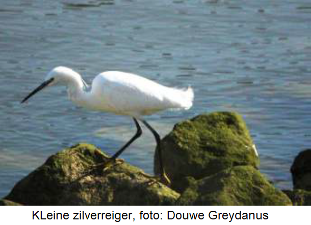 Zaterdag 7 november, Natuurwerkdag 2026